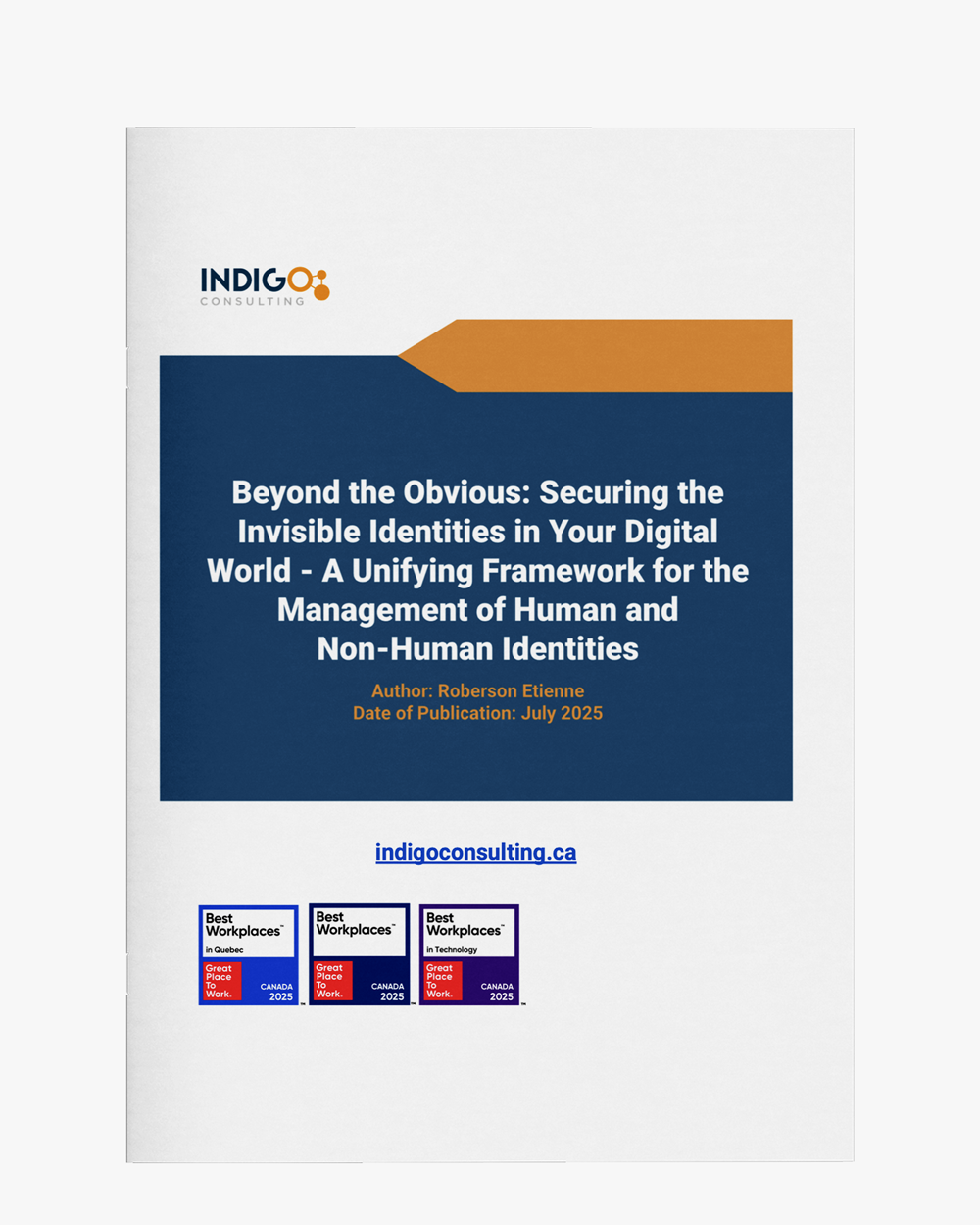 Securing the invisible identities in your digital world